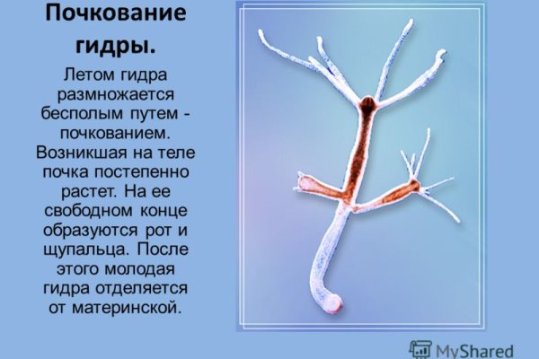 Как открыть ссылку с кракена